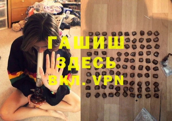 индика Баксан