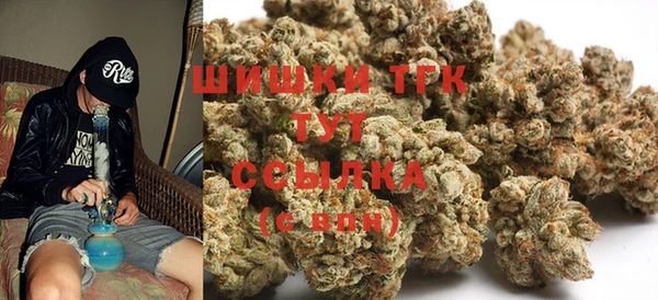 гидра Армянск