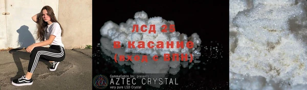 шишки Арсеньев