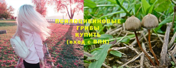 шишки Арсеньев