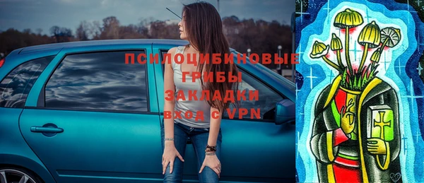 гидра Армянск