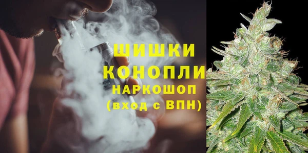 молекула духа Аркадак