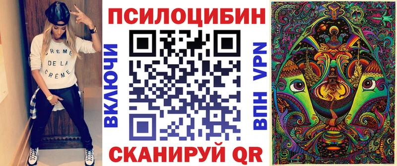 Галлюциногенные грибы Psilocybine cubensis Терек